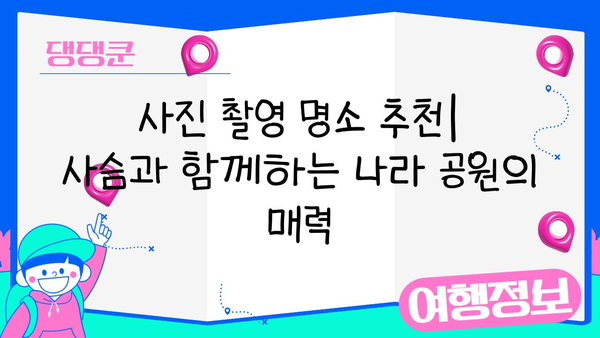 사슴과 함께하는 나라 공원| 사진 촬영 명소 5곳 | 사슴, 사진 촬영, 국립공원, 자연, 추천