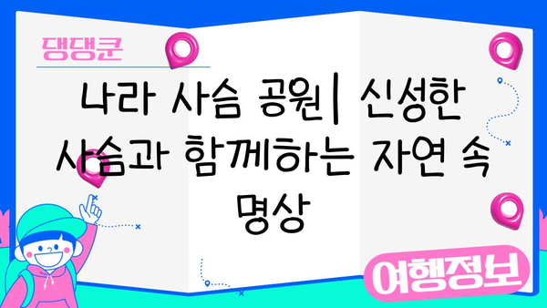 나라 사슴 공원에서 자연과 영성을 만나는 특별한 경험 | 사슴, 신사, 자연, 문화, 여행