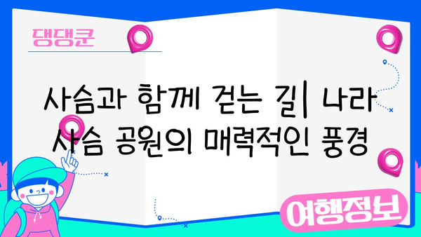 나라 사슴 공원에서 자연과 영성을 만나는 특별한 경험 | 사슴, 신사, 자연, 문화, 여행