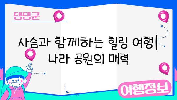 일본 나라 사슴 공원| 신비로운 동물들과의 친밀한 만남 | 사슴과 교감하는 특별한 경험, 방문 가이드