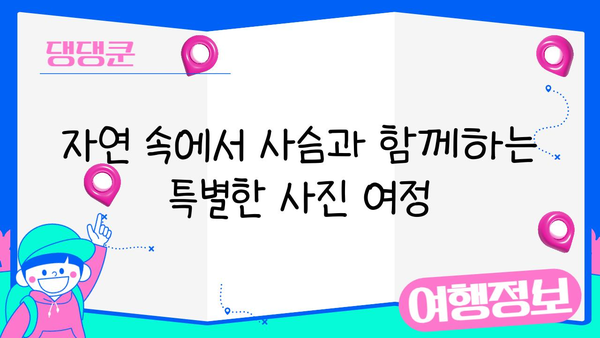 사슴과 함께하는 나라 공원| 사진 촬영 명소 5곳 | 사슴, 사진 촬영, 국립공원, 자연, 추천