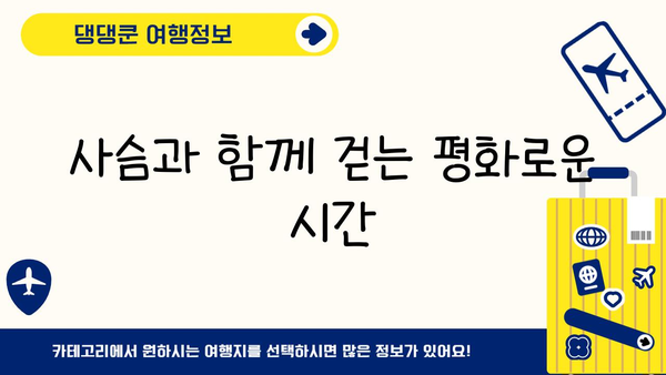 나라 사슴 공원| 자연과 문화가 어우러진 특별한 경험 | 일본 여행, 사슴, 공원, 문화 체험
