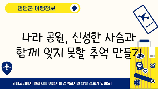 일본 사슴 공원 탐험| 신성한 사슴의 전설 속으로 |  나라 공원 가이드, 사슴과 교감, 일본 여행