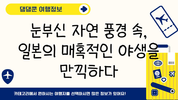 일본 자연과 야생동물의 아름다움을 만나다| 숨겨진 보석 같은 명소 탐험 | 일본 여행, 자연, 야생동물, 풍경