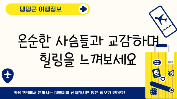 나라 사슴 공원의 매력| 자연과 역사가 만나는 곳 | 일본 여행, 사슴, 교토, 관광 명소