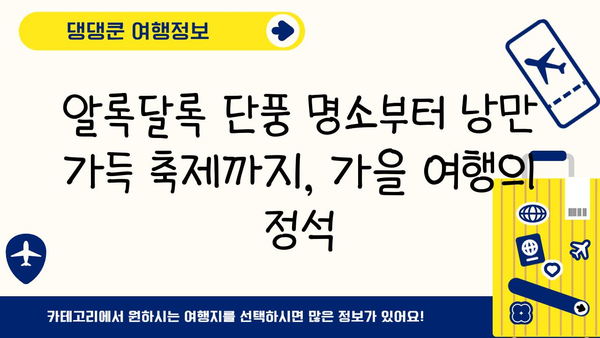 10~11월 일본 4대 도시 완벽 여행 가이드| 후쿠오카, 오사카, 도쿄, 삿포로 | 가을 여행, 관광 명소, 축제, 맛집, 쇼핑