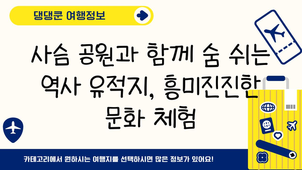 나라 사슴 공원 투어| 역사와 현대가 조화된 아름다움을 만나다 | 일본 여행, 교토, 사슴 공원, 문화 체험