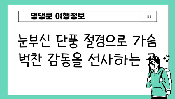 11월 일본 단풍 여행지 추천| 놓치면 후회할 Best 4 명소 | 일본 단풍, 가을 여행, 여행지 추천