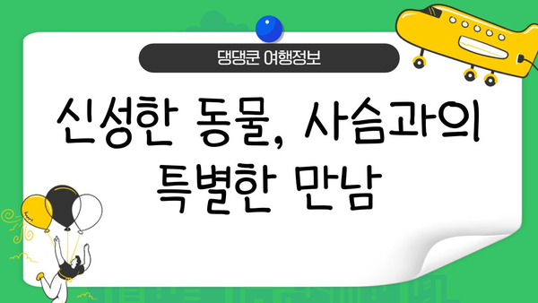 일본 나라 사슴 공원| 신비로운 동물들과의 친밀한 만남 | 사슴과 교감하는 특별한 경험, 방문 가이드
