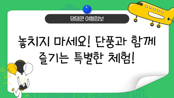 2024 일본 단풍 절정 시기 & 추천 여행지| 지역별 단풍 명소와 여행 팁 | 가을여행, 일본여행, 단풍놀이, 가이드