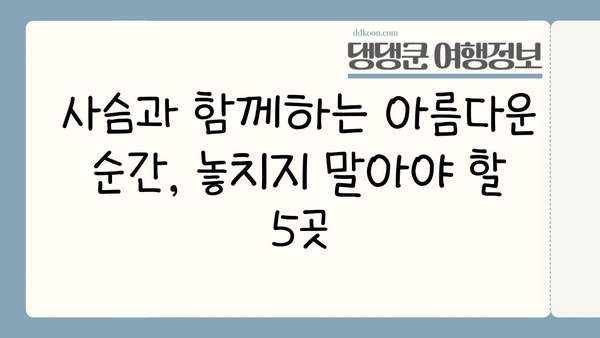 사슴과 함께하는 나라 공원| 사진 촬영 명소 5곳 | 사슴, 사진 촬영, 국립공원, 자연, 추천