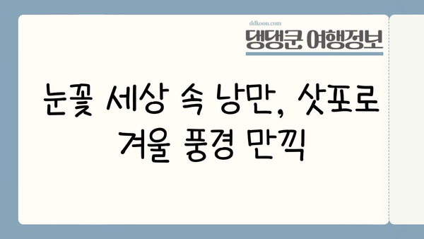 삿포로 자유여행 3박 4일 완벽 일정| 여자 혼자 떠나는 설렘 가득한 일본 여행 | 삿포로, 혼자 여행, 겨울 여행, 먹거리, 볼거리, 추천 코스