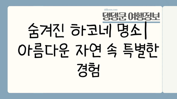 일본 온천 천국 하코네| 숨겨진 명소와 힐링 체험 가이드 | 하코네 온천, 여행, 관광, 료칸, 자연