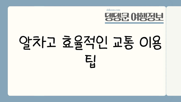 도쿄에서 교토까지| 일본 필수 여행 코스 완벽 가이드 | 일본 여행, 도쿄 여행, 교토 여행, 관광 명소, 일정 추천