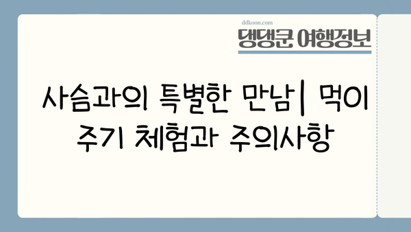 일본 나라 사슴 공원| 역사와 자연이 함께하는 신성한 공간 | 사슴, 도다이지, 카스가타이샤, 여행 가이드
