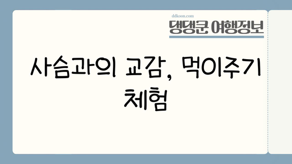 일본 나라 사슴 공원| 신비로운 동물들과의 친밀한 만남 | 사슴과 교감하는 특별한 경험, 방문 가이드