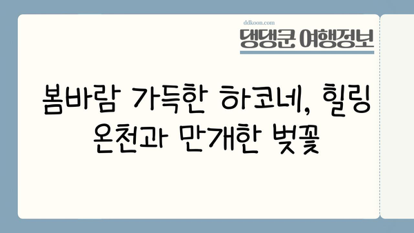하코네 봄 여행| 벚꽃 아래 온천욕, 낭만 가득한 힐링 | 하코네 온천, 벚꽃, 봄 여행, 일본 여행