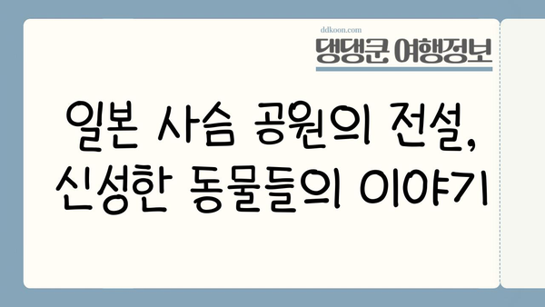 일본 사슴 공원 탐험| 신성한 사슴의 전설 속으로 |  나라 공원 가이드, 사슴과 교감, 일본 여행