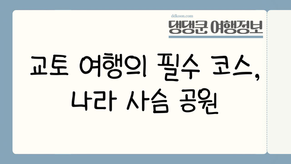 나라 사슴 공원의 매력| 자연과 역사가 만나는 곳 | 일본 여행, 사슴, 교토, 관광 명소