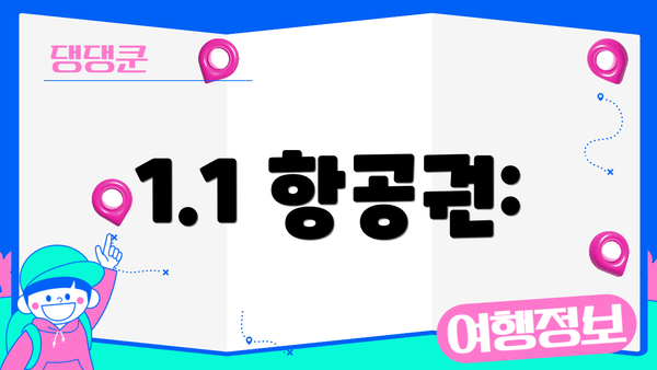 1.1 항공권: