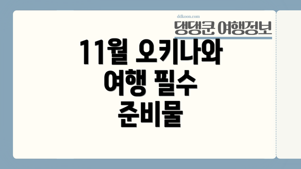 11월 오키나와 여행 필수 준비물