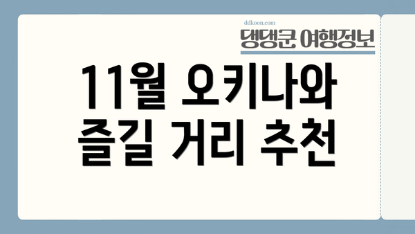 11월 오키나와 즐길 거리 추천