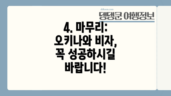 4. 마무리: 오키나와 비자, 꼭 성공하시길 바랍니다!