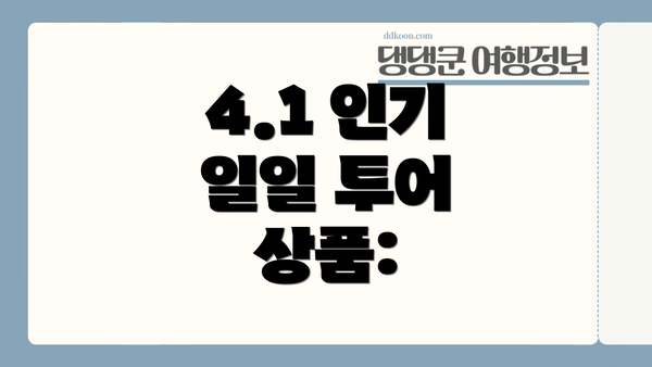 4.1 인기 일일 투어 상품: