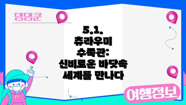 5.1. 츄라우미 수족관: 신비로운 바닷속 세계를 만나다