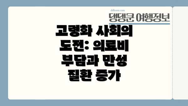 고령화 사회의 도전: 의료비 부담과 만성 질환 증가