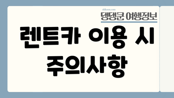 렌트카 이용 시 주의사항