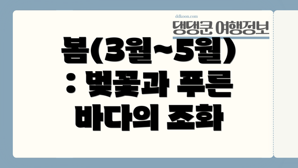 봄(3월~5월): 벚꽃과 푸른 바다의 조화