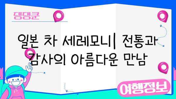 일본 차 세레모니| 전통과 감사의 아름다움을 경험하다 | 차도, 다도, 일본 문화, 의식