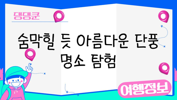 11월 일본 단풍 여행, 놓치면 후회할 4곳! | 가을, 단풍 명소, 여행 가이드