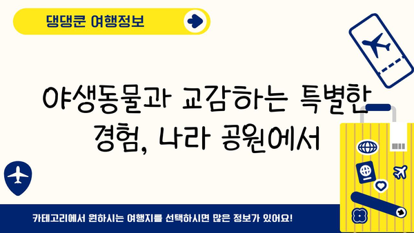 나라 공원에서 사슴과의 신비로운 만남|  잊지 못할 추억을 만드는 특별한 경험 | 사슴 관찰, 야생동물, 자연 체험, 국립공원
