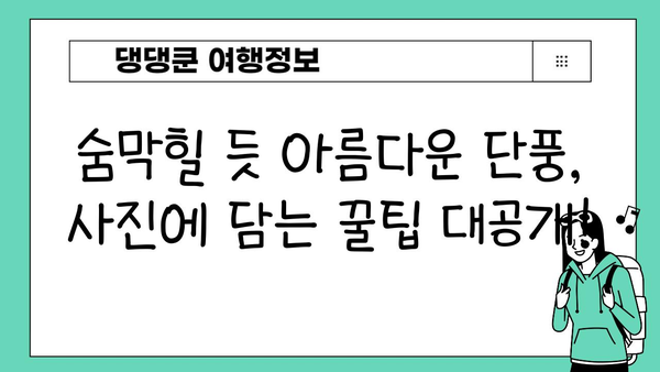 11월 일본 단풍 절경 놓치지 마세요! 🍁  | 단풍 명소 4곳 추천, 여행 계획 완벽 가이드