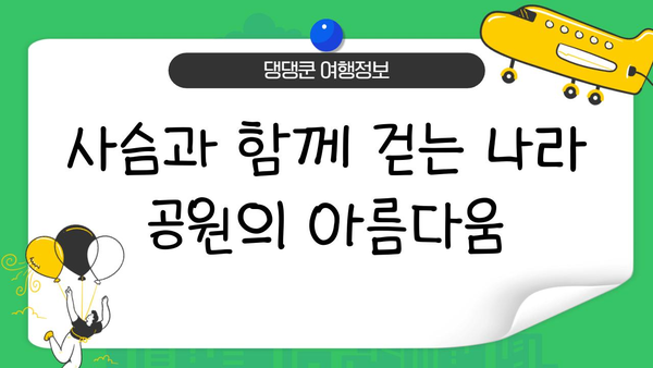 나라 사슴 공원에서 만나는 마법 같은 순간| 사슴과 함께하는 특별한 여행 | 일본 여행, 사슴, 나라, 공원