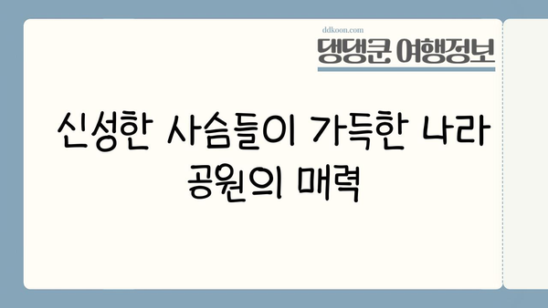나라 사슴 공원에서 만나는 마법 같은 순간| 사슴과 함께하는 특별한 여행 | 일본 여행, 사슴, 나라, 공원