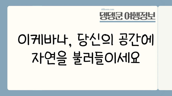 이케바나| 일본 전통 예술의 아름다움과 현대적 표현 | 꽃꽂이, 예술, 문화, 디자인