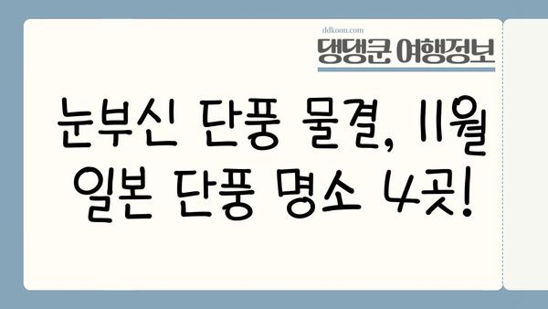 11월 일본 단풍 절경! 놓치지 말아야 할 4곳 명소 추천 | 단풍여행, 일본여행, 가을여행