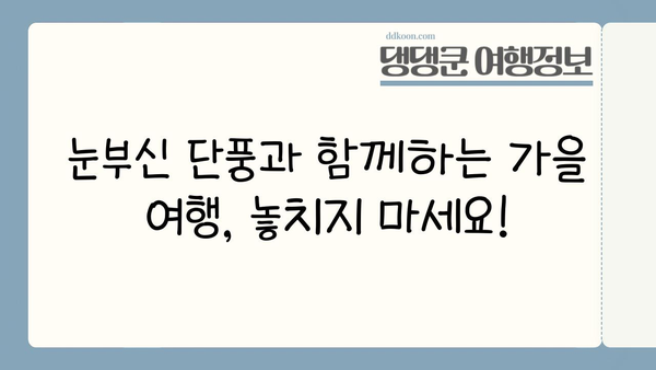 11월 일본 여행, 지금이 절호의 기회! | 가을 단풍, 축제, 쇼핑 정보 총정리