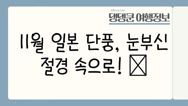 11월 일본 단풍 절경 놓치지 마세요! 🍁  | 단풍 명소 4곳 추천, 여행 계획 완벽 가이드