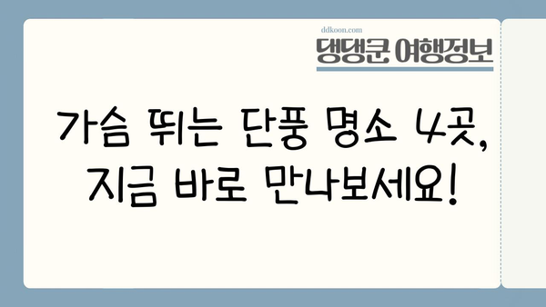 11월 일본 단풍 절경 놓치지 마세요! 🍁  | 단풍 명소 4곳 추천, 여행 계획 완벽 가이드
