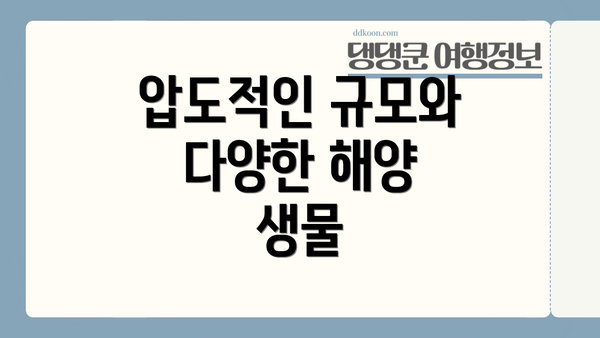 압도적인 규모와 다양한 해양 생물