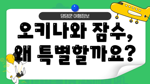 오키나와 잠수, 왜 특별할까요?