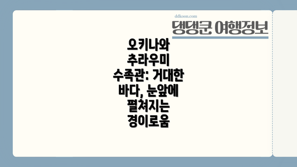 오키나와 추라우미 수족관: 거대한 바다, 눈앞에 펼쳐지는 경이로움