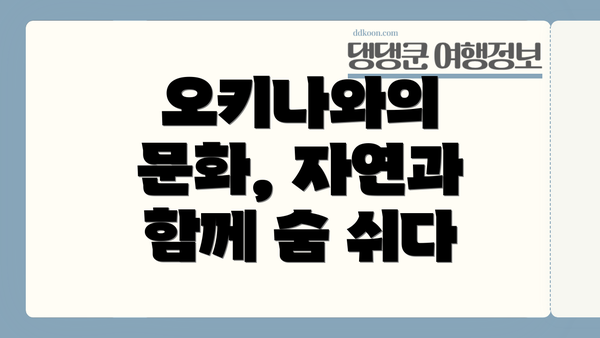 오키나와의 문화, 자연과 함께 숨 쉬다