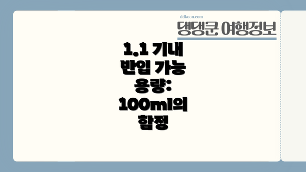 1.1 기내 반입 가능 용량: 100ml의 함정