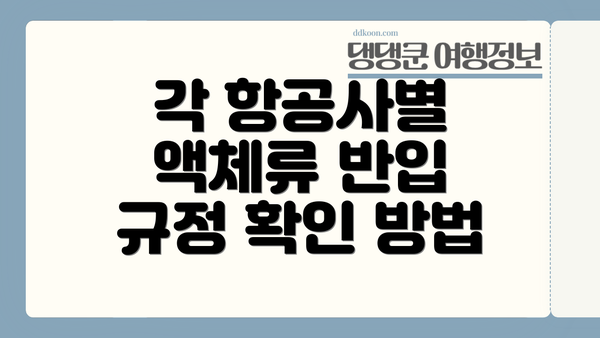 각 항공사별 액체류 반입 규정 확인 방법