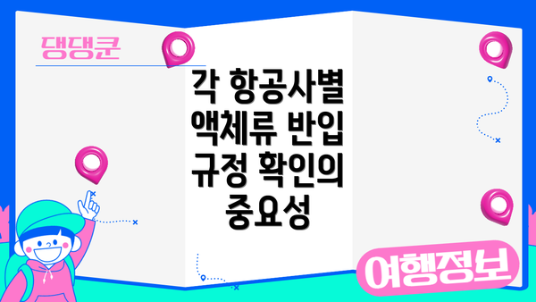 각 항공사별 액체류 반입 규정 확인의 중요성